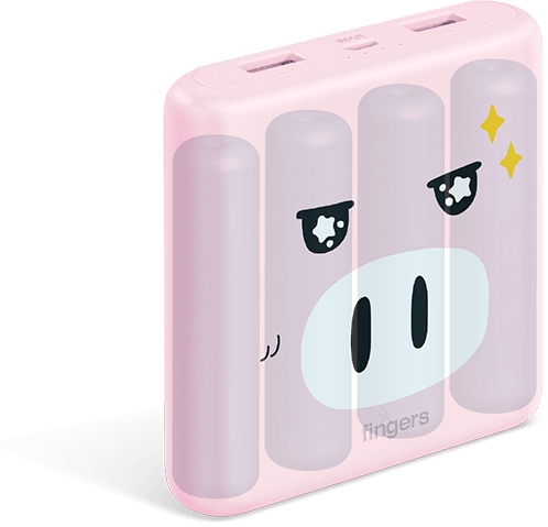 power bank poorvika